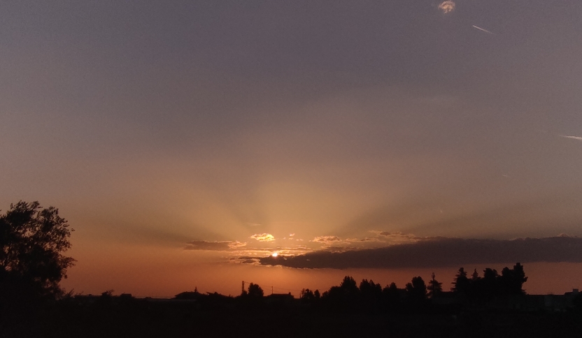. Turris Eburnea
